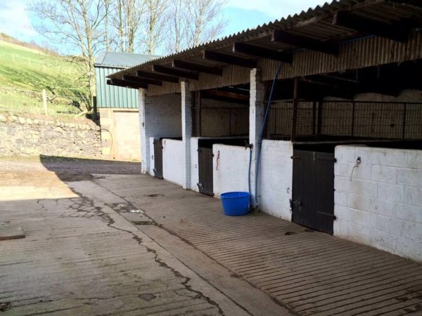 Overnight Stable Hire