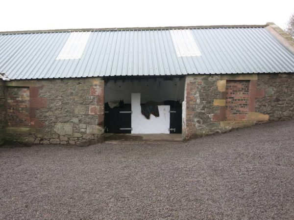 Overnight Stable Hire - Image 3