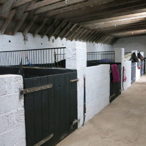 Forgandenny Horse Trials Stabling and Extras