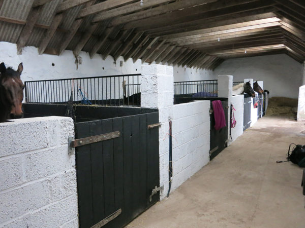Overnight Stable Hire - Image 4