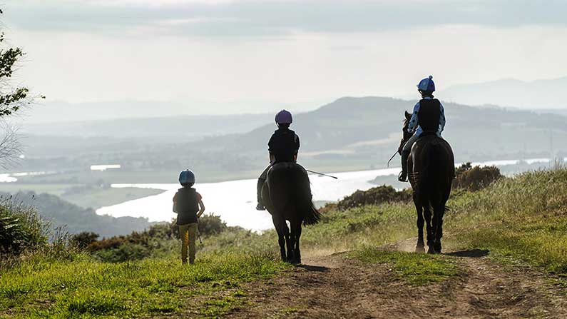 Horse Holidays at Lindores