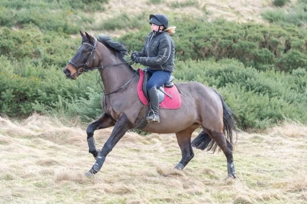 3 night Horse Holiday in West Cottage for up to 4 people: 2nd, 3rd & 4th June 2025